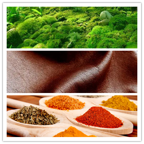 入门买什么香水比较好,入门名牌香水