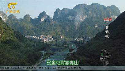 巴马长寿之乡候鸟老人,巴马为什么吸引成千上万的候鸟人