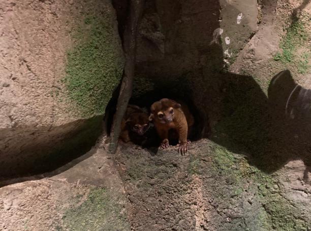 秦淮区东部发展,秦淮区支柱产业