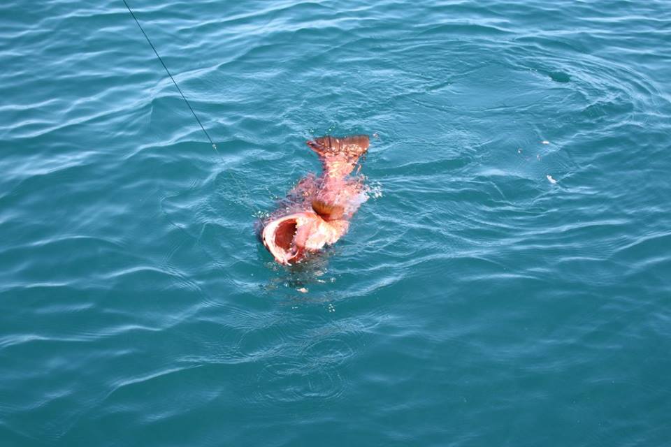 世界各地钓鱼爱好者,世界各地钓鱼的人