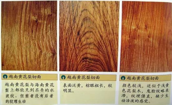 越南黄花梨排名前十,越南黄花梨官方资料