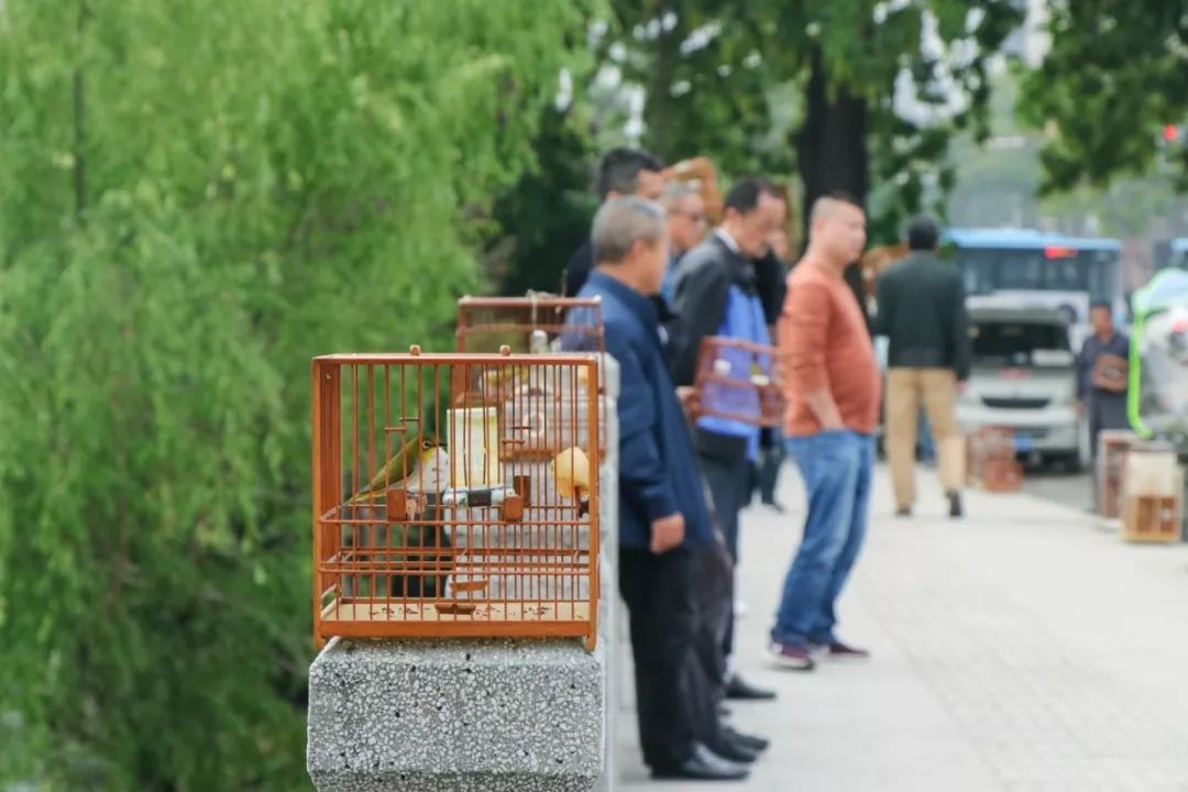 长长长长长白街,串起秦淮白下的爱恨情仇