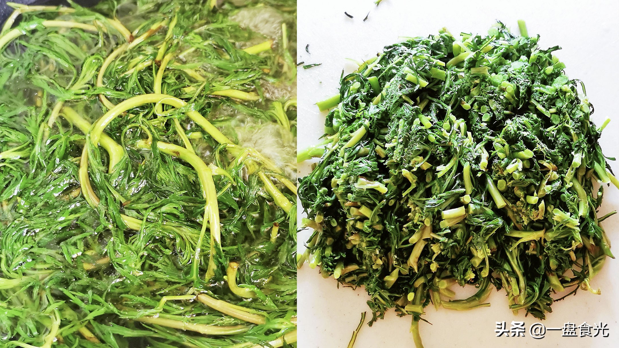 呼伦贝尔特色山野菜,呼伦贝尔炖柳蒿芽