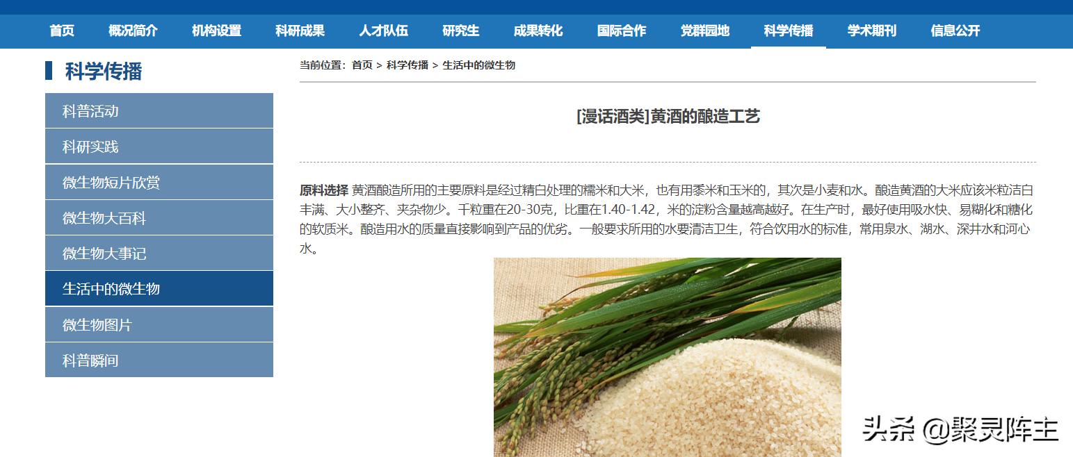 最正宗的黄酒是哪一款,黄酒老字号的黄酒