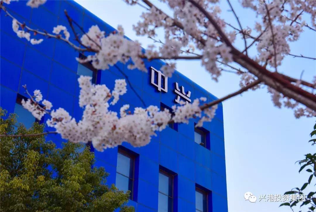 探访数字化工厂感受中国智造魅力,探秘产业园区