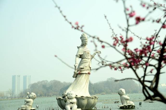 南京雨花台风景区梅花盛开,南京梅花山花海赏梅