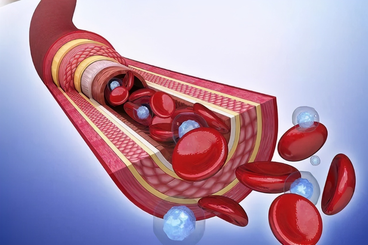玫瑰*疮痤**患者机体免疫调节的异常，该病发病率呈现逐年上升的趋势