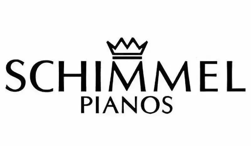 进口琴和非进口琴如何区别,进口琴