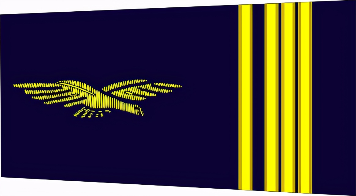 法国将军军衔等级,法国上校是什么军衔