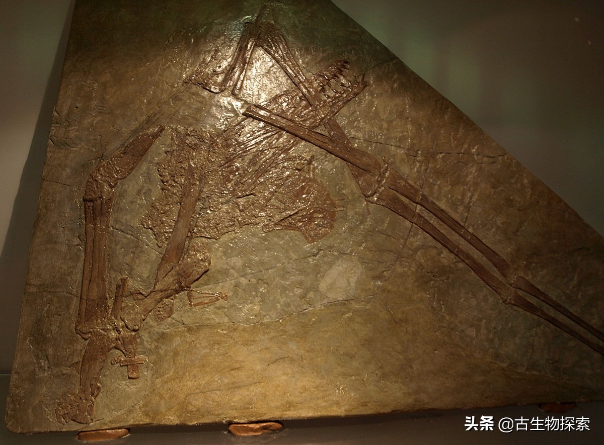 中国翼龙中东实战,中国翼龙直升飞机