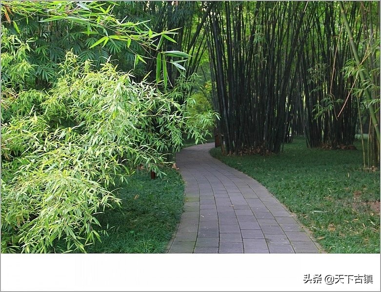 成都望江楼对联原文,天下名楼完整版