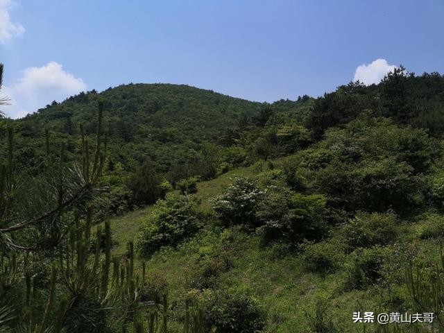 黄山最吓人景区,黄山爬山最吓人的地方