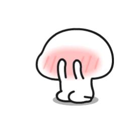 墨鱼乌贼章鱼鱿鱼到底有什么区别,怎么分清章鱼乌贼和鱿鱼