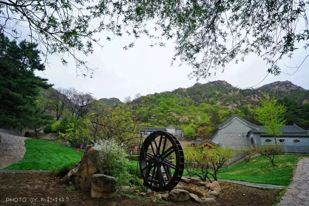 京郊童话树屋,京郊最美童话树屋