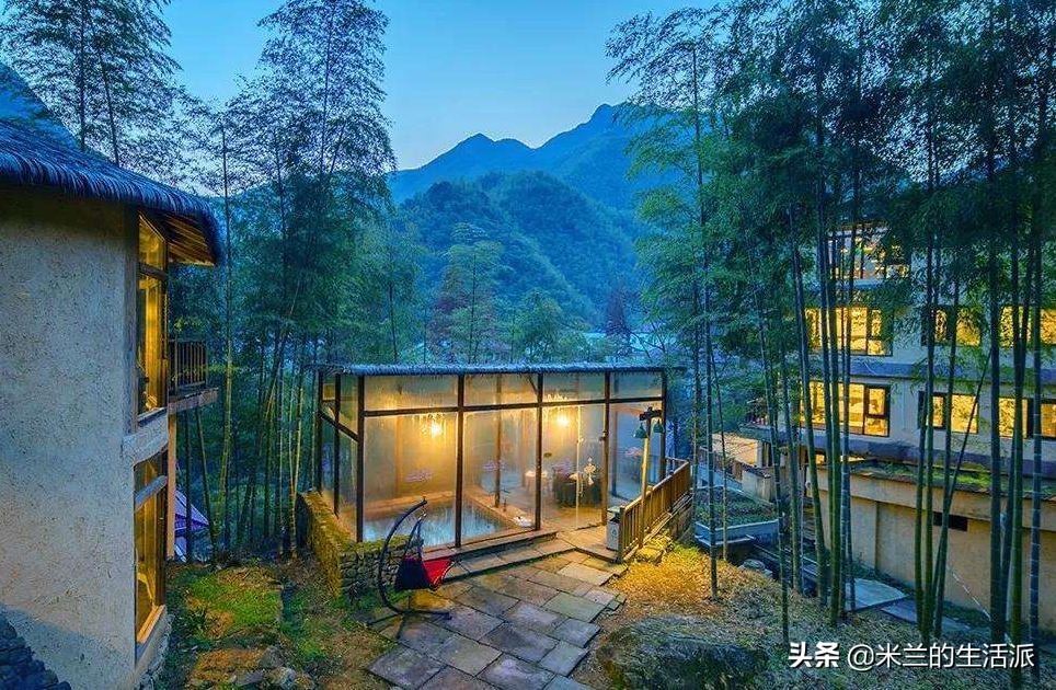 森林养生基地一览表,森林公园养生胜地