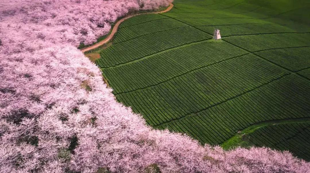 品味人生家居服,品味人生家具图片