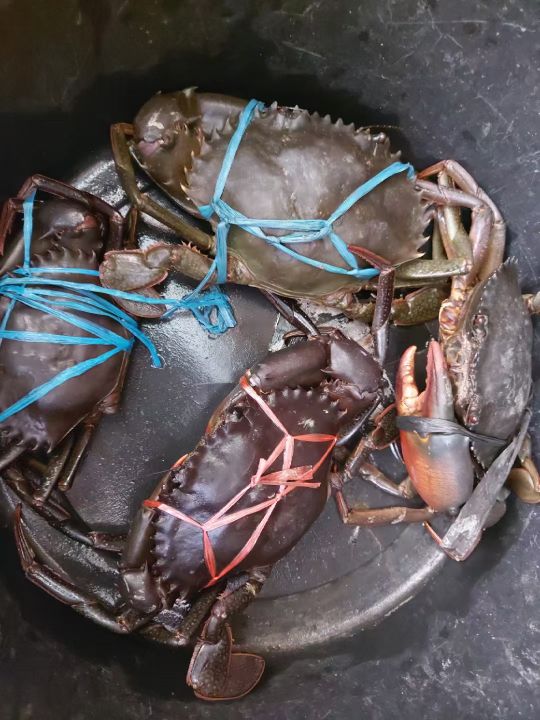 青山集团印尼纬达贝工业园区,青山集团印尼工业园区