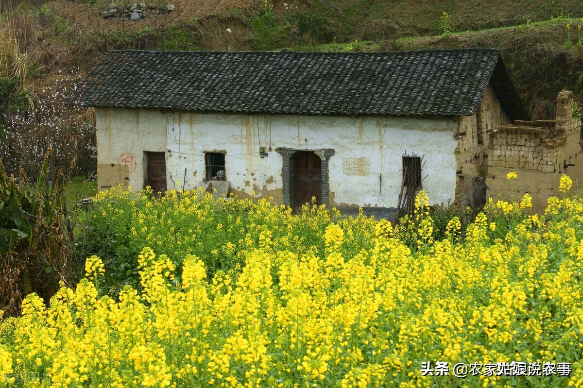 农村户口没房子住该找谁,如果一家有两个户口怎么办