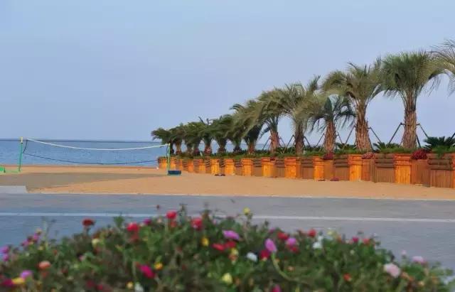 距北京最近的最美的大海在哪里,北京最美大海景点