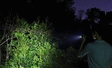 防狼神器哪款最好,防狼神器测评