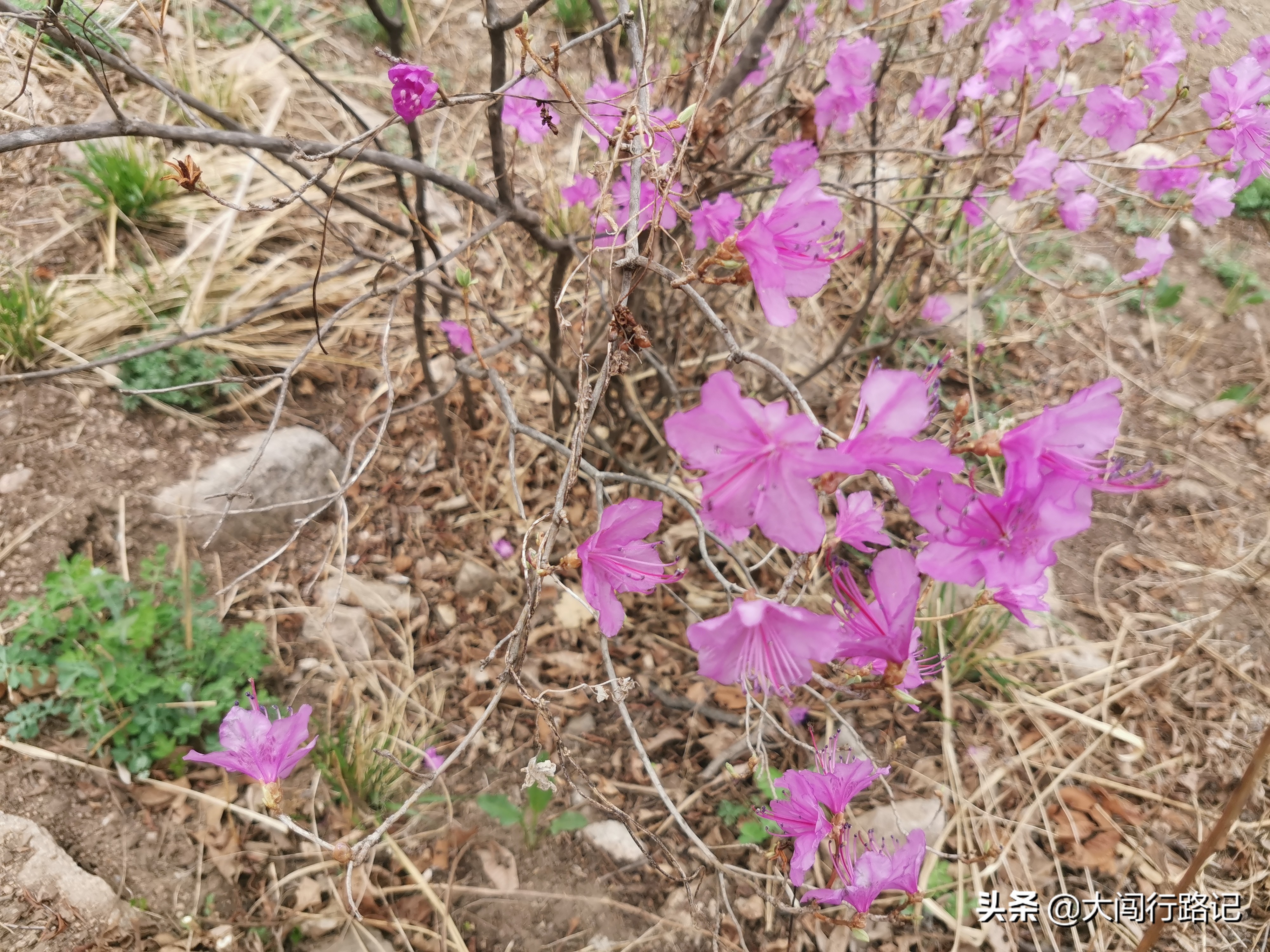 喇叭沟门原始森林游记,怀柔喇叭沟门原始森林2日自驾游