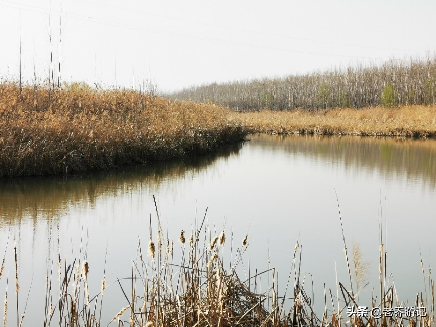 济南钓鱼新闻,济南垂钓圈