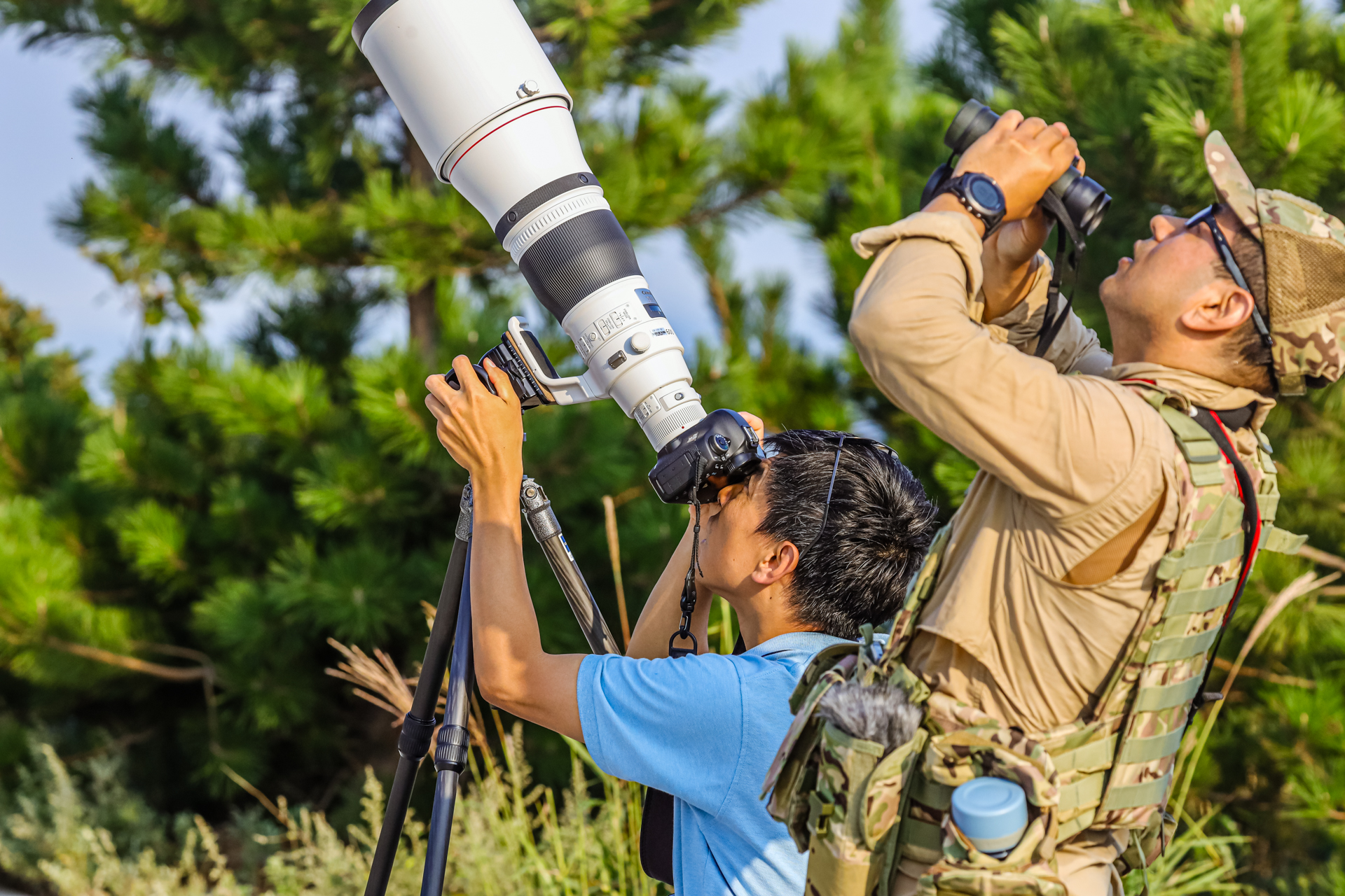 见证猛禽“生存”之道迪卡侬仿生系列试用体验