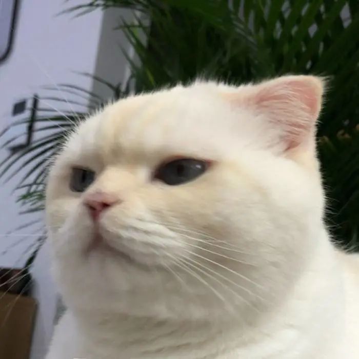 房屋漏水该找谁解决,房屋漏水应该找哪个部门解决