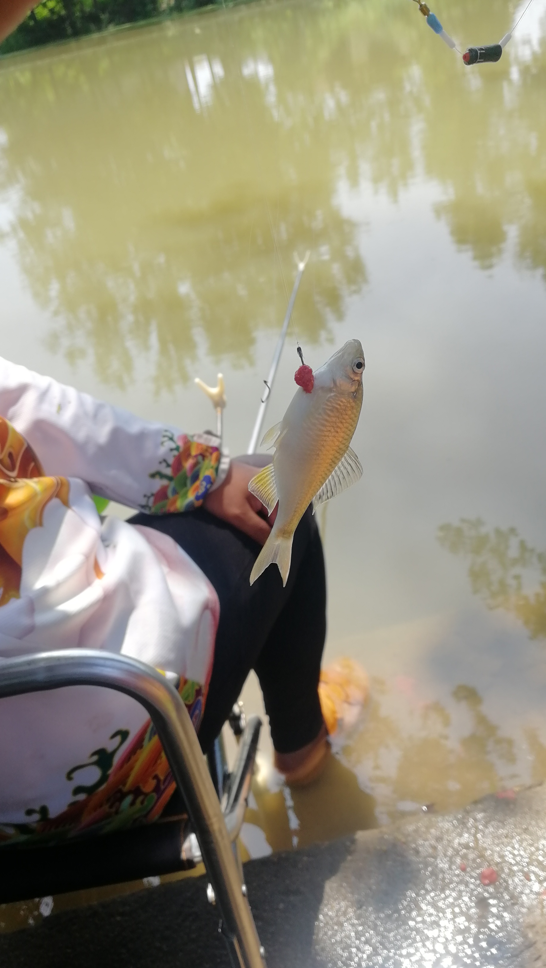 钓鱼如何解决诱鱼,钓鱼时窝里密密麻麻的小泡