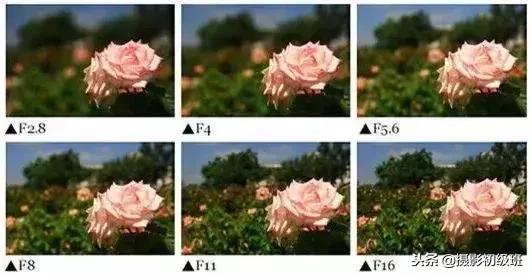 摄影入门教程光圈快门iso曝光,摄影初学者如何调整光圈