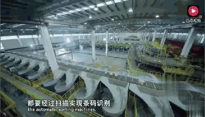 顺丰快递为啥这么快?曝光1小时分拣7.1万件的秘密