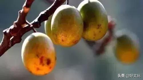 受欢迎的10大文玩手串,十大最顶级的文玩手串图片