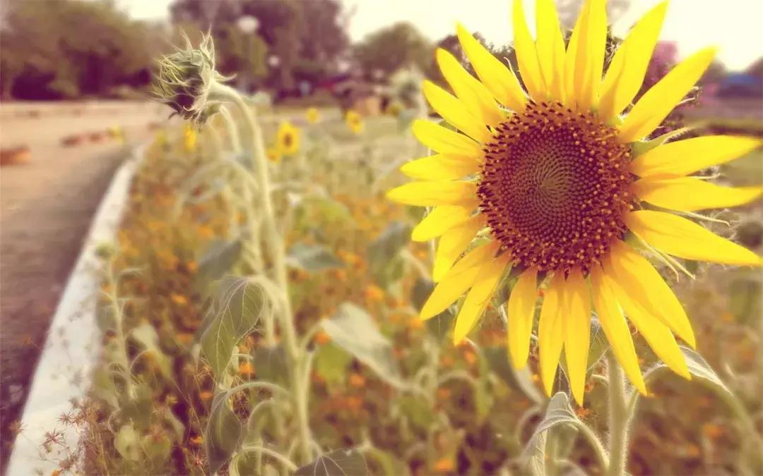 音乐治病最好的方法,音乐可以治病的视频