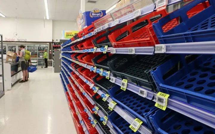 纽航空乘,纽航空姐失业后视频