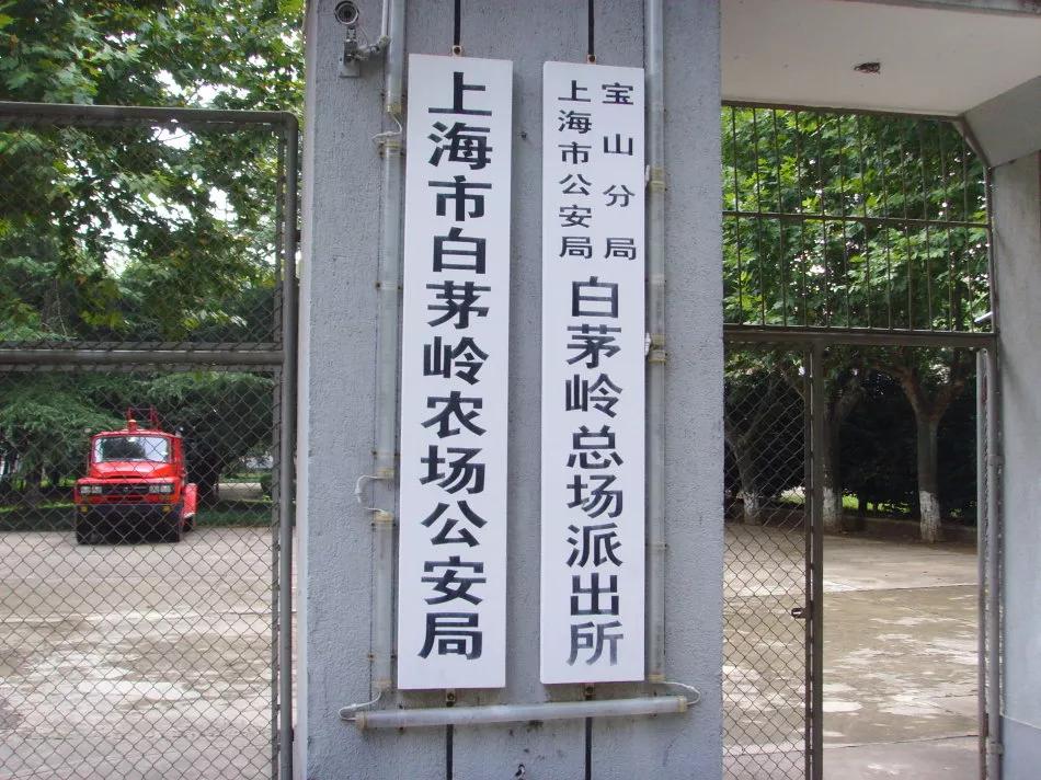 因它，江苏成上海农场，山东成上海矿区，安徽，竟成了上海监狱