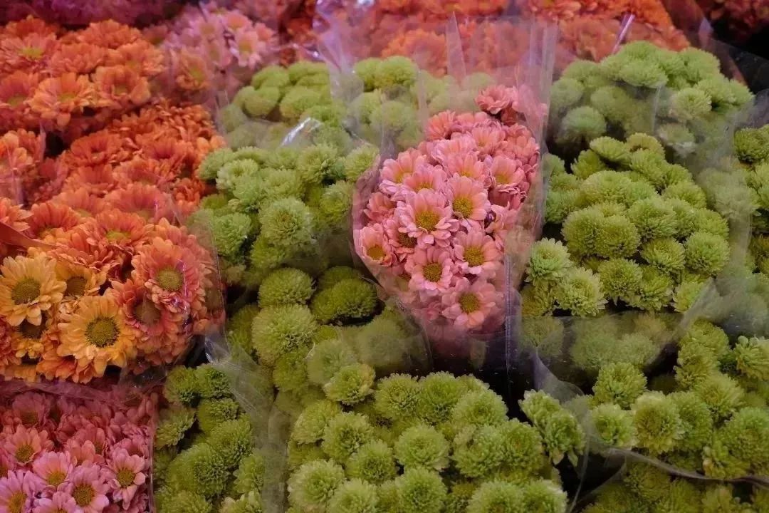 想当年，我在芳村区长大