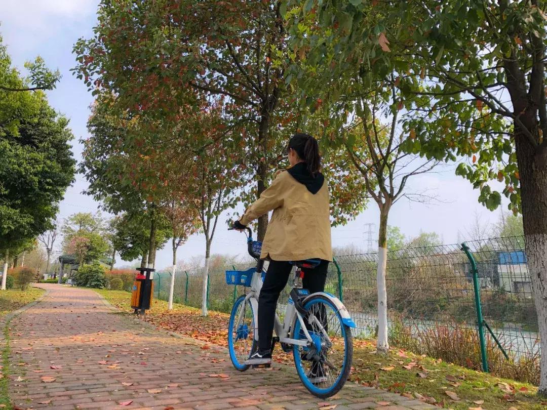 都江堰天府绿道骑行路线图,都江堰周边最美骑行路线