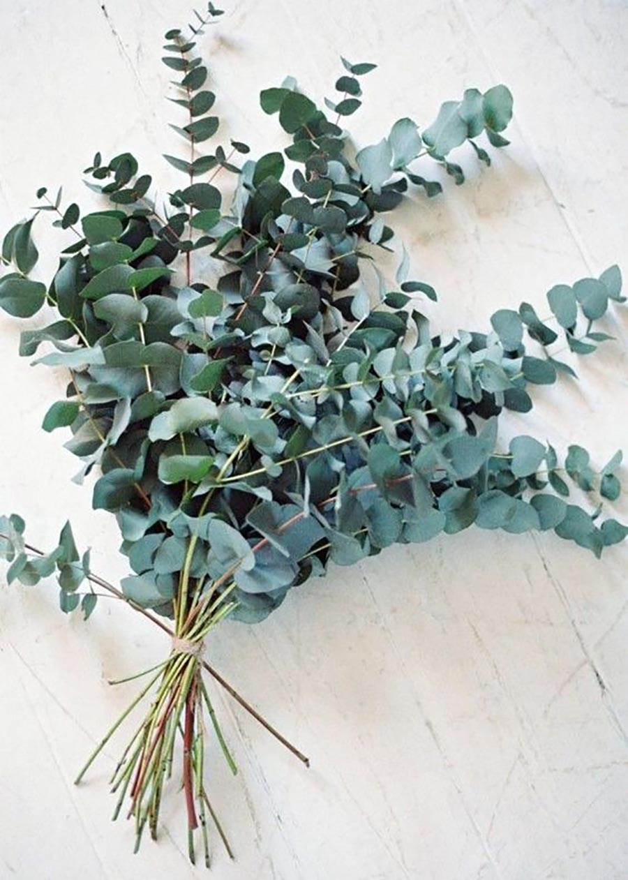 ins风房间干花布置用品,家居干花布置