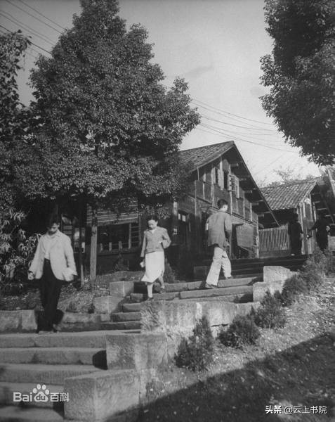 重庆大学在同属985大学中怎么样？