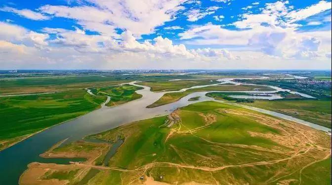 呼伦贝尔柳蒿芽怎么做,达斡尔族柳蒿芽做法