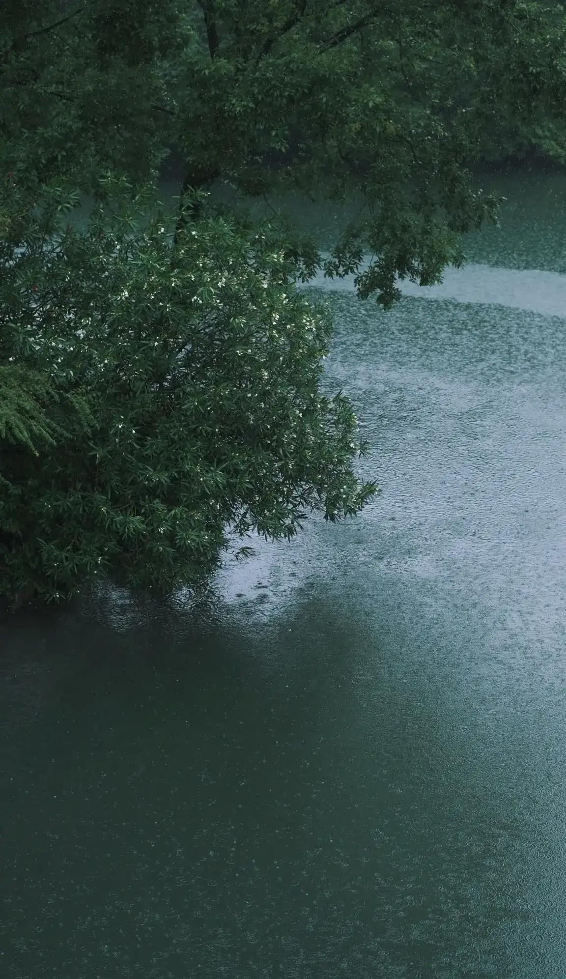 风尘旧事,风尘往事简介