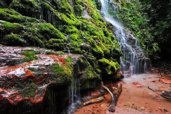 五一小长假昆明周边露营地点推荐,昆明周边户外露营游