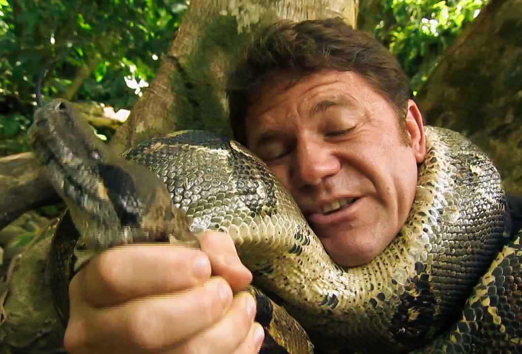 可怕40斤巨蟒藏天花板,吓人巨蟒