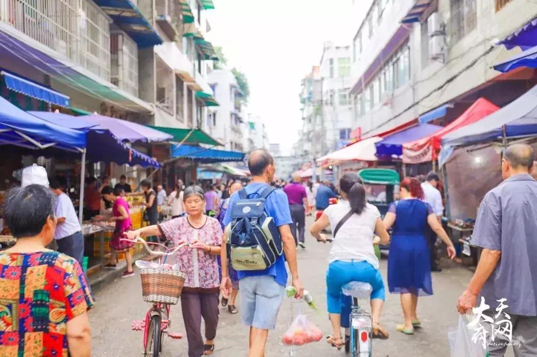 40年的大变化,四十年巨变陇原