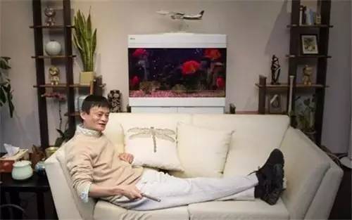 养鱼招财摆放位置和方向,养鱼招财在风水中的效果及禁忌