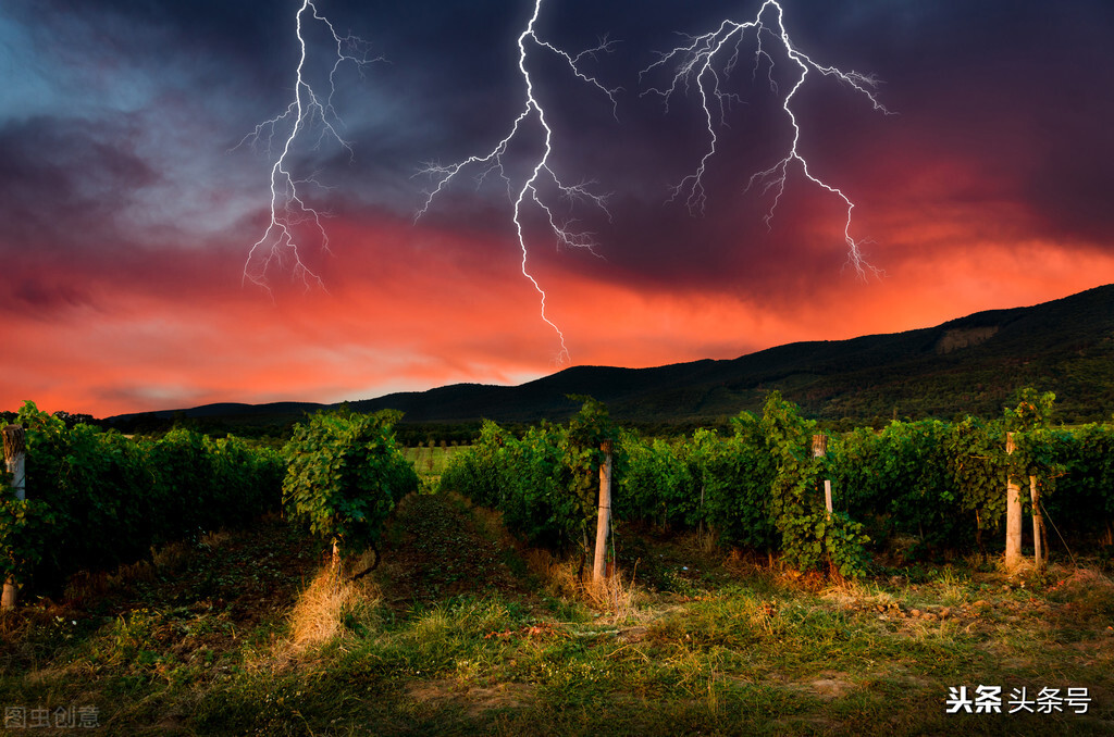 学历低想学个手艺不知道学什么,低学历学什么手艺最吃香