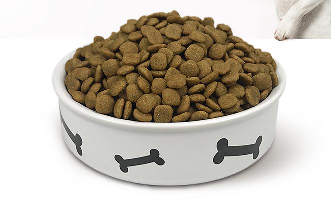 经验总结饲养比熊犬要提防这几点,如何正确饲养比熊犬5大注意事项