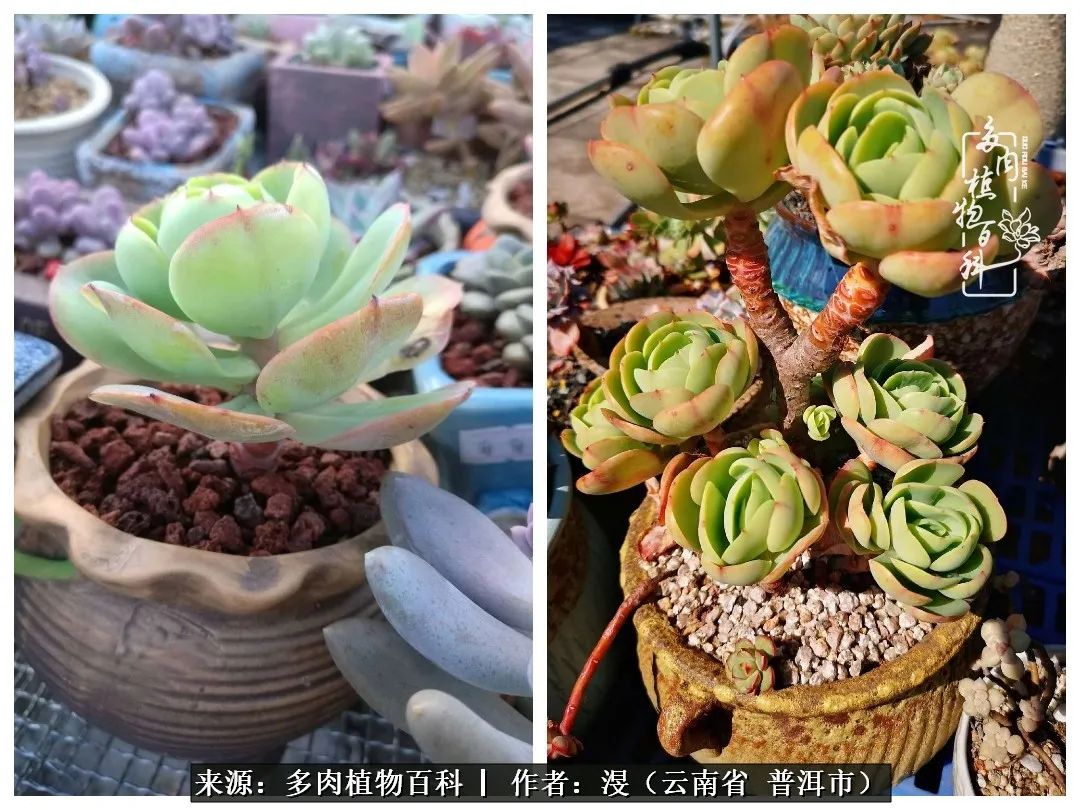 风过留痕讲的啥,风过留痕朗诵