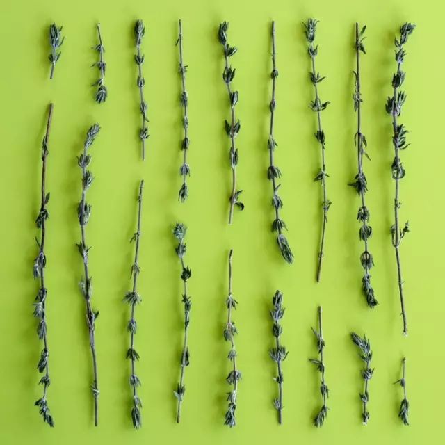 唯有美食治愈强迫症患者,强迫症吃各种美食