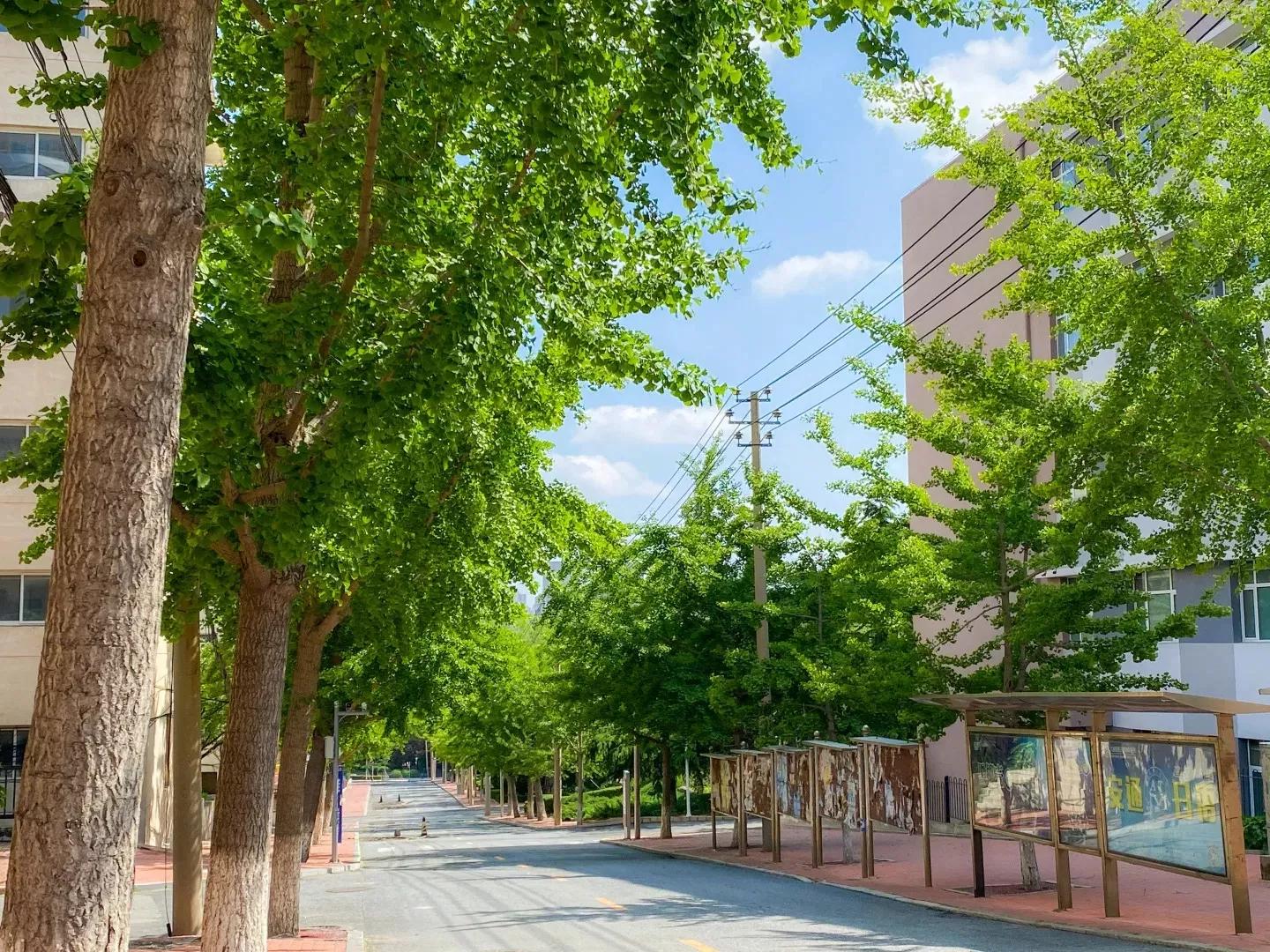辽宁师范大学辽宁省一流课程,辽宁省普通高等院校